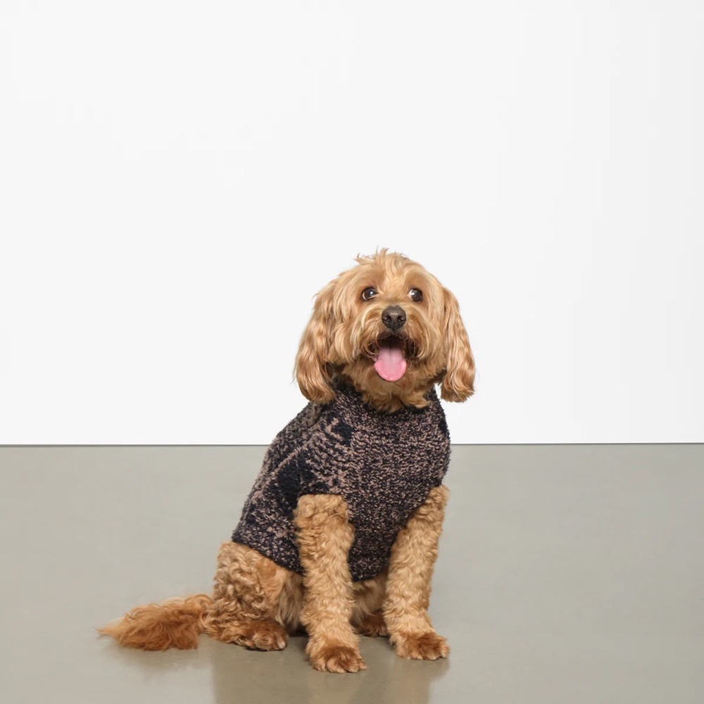 SKIMS NEVER BEEN WORN COZY KNIT PET SWEATER